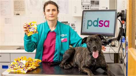 pdsa near me|The vet charity for pets in need .